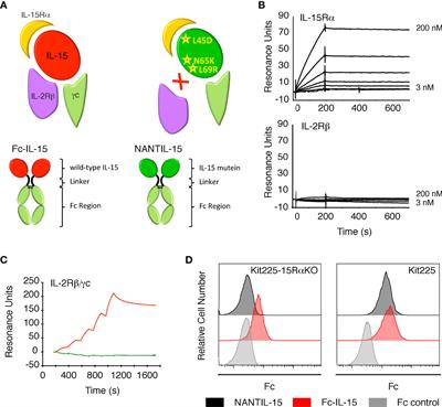 Selective Targeting of IL-15Rα Is Sufficient to Reduce Inflammation
